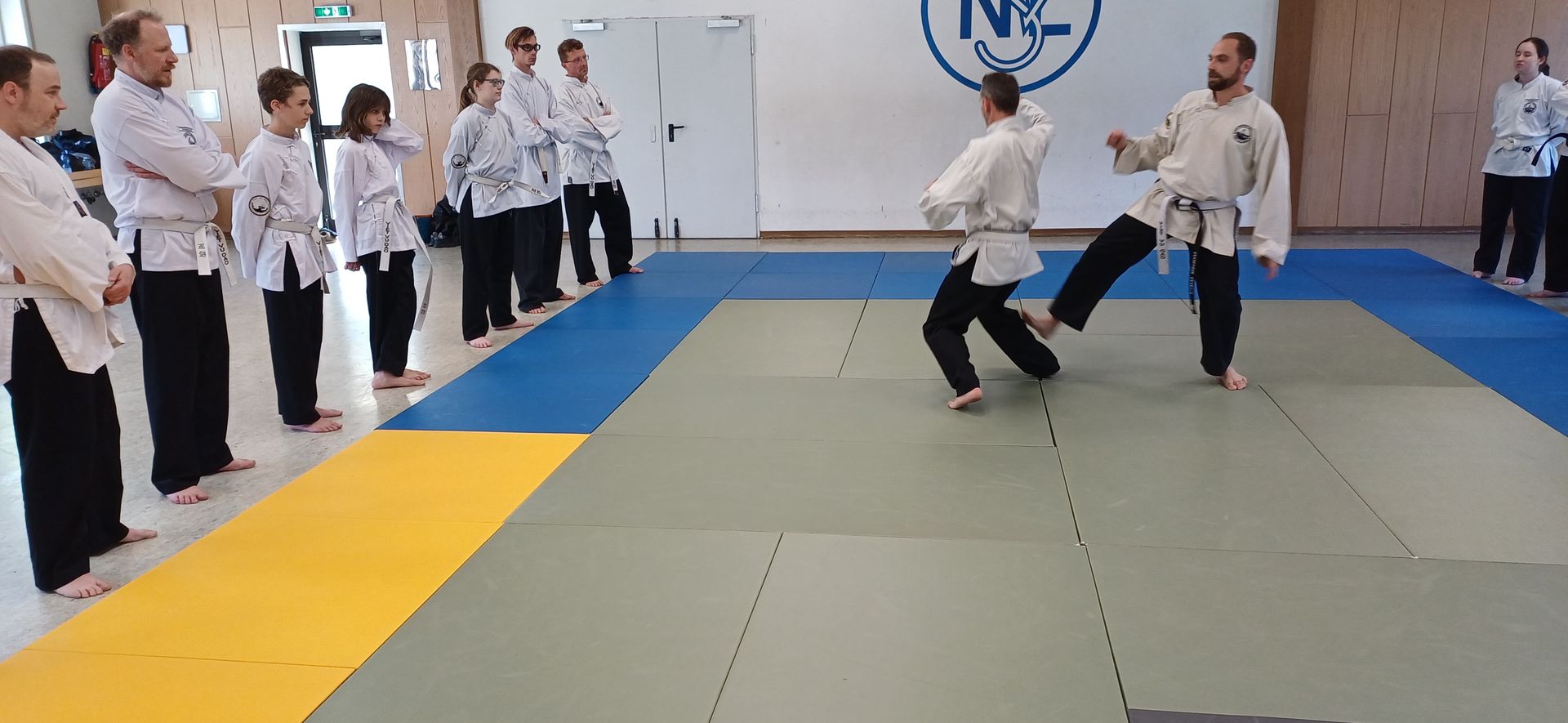 Trainingsimpression des Viet Vu Dao Dragon Club Leinburg